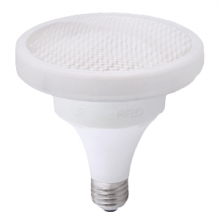 Compact Fluorescent (CFL) Bulbs