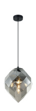 C78011SM_B.jpg