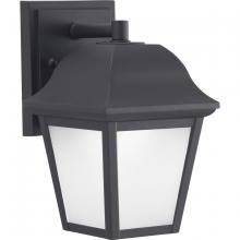 Progress P560136-031-30 - P560136-031-30 1-11W LED WALL LANTERN