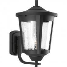 Progress P6075-31 - P6075-31 1-100W LARGE WALL LANTERN