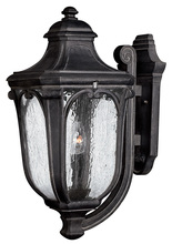 Hinkley Canada 1315MB - Large Wall Mount Lantern