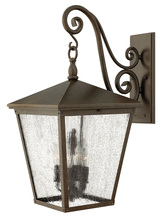 Hinkley Canada 1438RB - Large Wall Mount Lantern